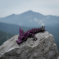 Crystal Dragon Tadling