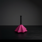 Flexi Star Fidget