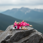 Flexi Sugar Rush Dragon Mini