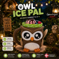 Owl Ice Pal